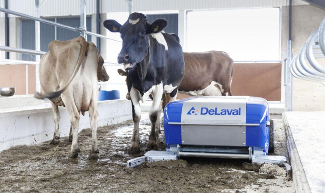 Robot collector conçue pour ajouter de la flexibilité à vos processus - et une fois qu'il est en place et en fonctionnement, il travaille de manière autonome pour réduire votre charge de travail autour des animaux, sans perturber votre troupeau, créant ainsi un meilleur endroit pour vous, vos travailleurs et vos vaches. Il nettoie les accès difficiles, flexible, facile à utiliser, adapté et sécurisé pour les animaux.