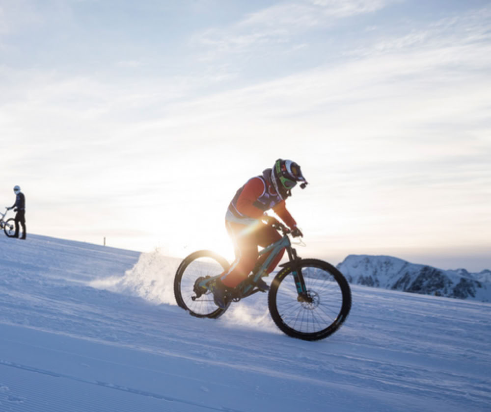 DH alpine snow bike